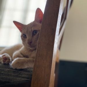 Meet your Posher, Jocelyn